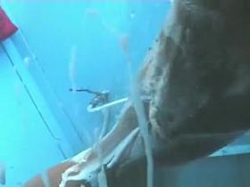 Incredible Amateur, Beach, Voyeur Movie, Watch It