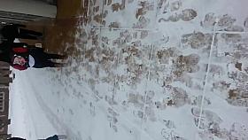 nice ass walking in the snow