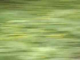 Flash with Girl Park Passion 2015