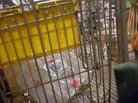 Caminando por Argentina #16