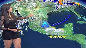 Raven-haired cutie wears a short dress on TV