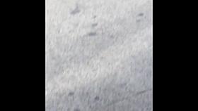 Nalgona Leggins - Spandex Nice Ass