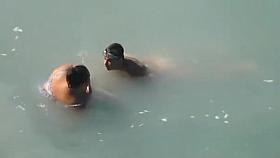 Chubby Girl Fucked In The Sea by A local Guy On Her Trip Abroad