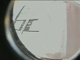 Amateur teen brunette sexy upskirt video