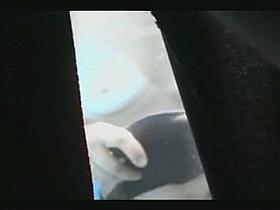 Spy beach cam voyeuring milky white tits and big belly