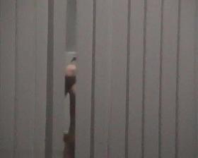 Change Room Voyeur Video N 169