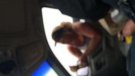 Flash asking for directions