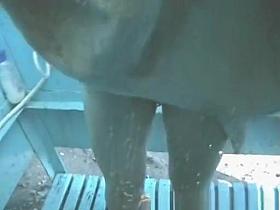 Great Amateur, Changing Room, Beach Clip