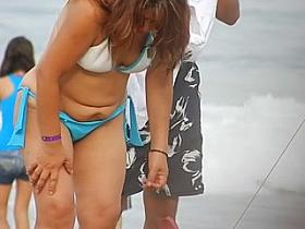 Shaggy Cookie at the beach