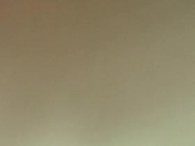 Curvacious young woman flaunts her delicious butt while cha