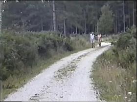 Helpless Whore on Parade