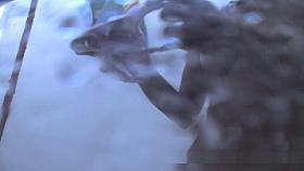 Crazy Russian, Amateur, Changing Room Scene Unique