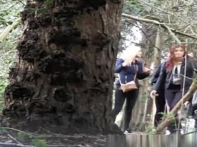 Group of teens caught pissing in the nature