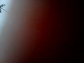 Hidden camera in toilet