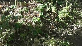 Naked brunette films herself going on treasure hunt nude in public naturist