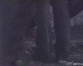 Girls Pissing voyeur video 313