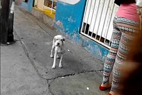 Nalgona En Leggins Coloridos