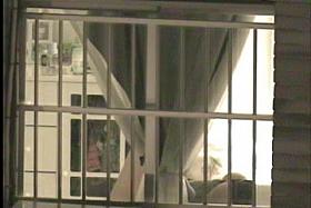 Maravilha de Vizinha 11