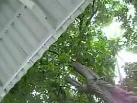 debajo de la falda mexico 3