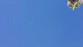 Festival Upskirt quick