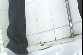 Public toilet spy cam of girls pissing