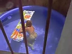 MILF nue dans la piscine