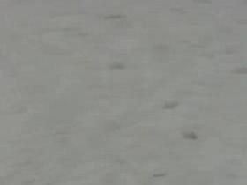 girl bent over.. thong and ass out