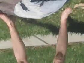 my nextdoor neibor sun tanning