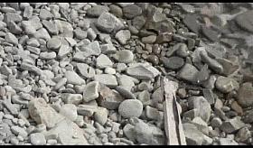 At a public beach man share his wife with a stranger voyeur