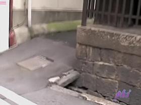 Lovable Japanese geisha getting involved in really steamy sharking scene