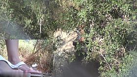 Girls Pissing voyeur video 215