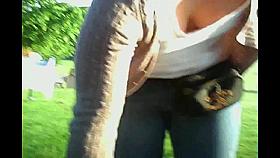 Wolter's Downblouse Bitch 261