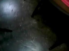 un casi hilo riquito grave vario parte 1