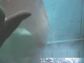 Hidden Spy Beach, Spy Cam, Voyeur Video Watch Show