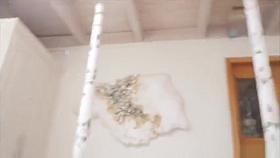 Blonde MILF mom just needs her sons dick!