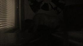 White BBW gets Black Dick