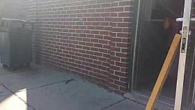 see through dress hot big ass 2014