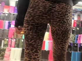 Trying to catch the jaguar