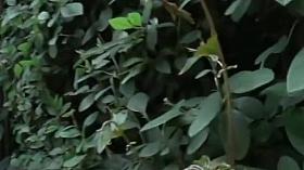 un p'tit parc pres du bureau