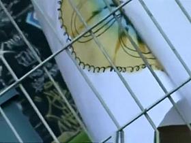 Upskirt on woman&acute;s ass