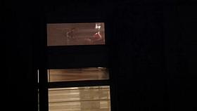 Una meravigliosa vicina 1