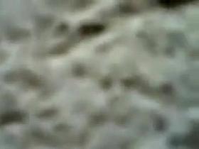 Fabulous peeper Voyeur adult video