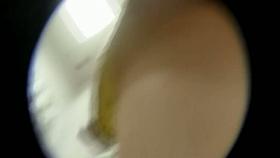 The best kind of ass around filmed by a voyeur video maker