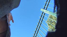 Upskirt Voyeur Huge Ass BBW & the Lost Red Thong