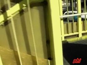 Wonderful slag experiencing sharking attack on the way home