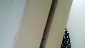 Exotic Voyeur Video Uncut