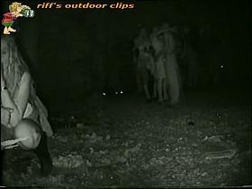 Voyeur catches a cute blonde pissing outdoors