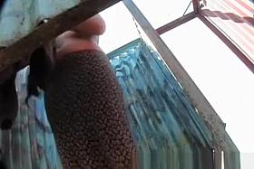 A woman dresses up bra