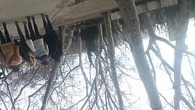 spy sexy girls skirt and nylon romanian