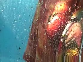 Spy Spy Cam, Amateur, Changing Room Video Unique